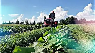 Why does no one do this?! // Kitayoza 4x4 saves the harvest.
