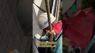 Работа в Японии: промальп #shorts #япония #японцы #tokyo #japan #пыхтыч #работавяпонии