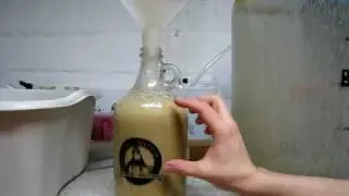One way to Harvest and Reuse Yeast for homebrewing.