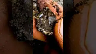 Nice Herkimers 💎  found in the Pocket!