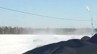 Показательные выступления Гон 2023