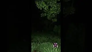 Not so itsy bitsy.  #spooky #scary  #horror #jumpscare #monsterinthewoods #spiderwoman