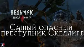 Ведьмак 3 