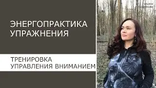 Энергопрактика Упражнения. Управление вниманием
