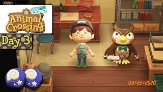 Animal Crossing: New Horizons - Day 3 - That was a Hoot!