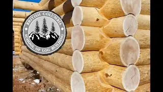 Saddle Notch demo; Log Cabin Building. #bclogschool #logbuildingcourses #logbuildingtutorials