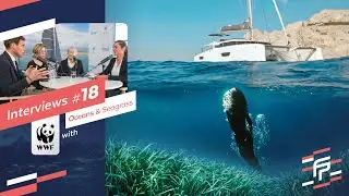 Herbiers de posidonie, poumon bleu de la Méditerranée ? WWF France nous explique tout.