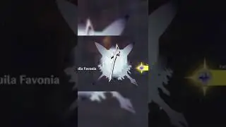Best Weapon Banner Pull for 2.1 