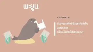 ปัญหาขยะทะเลที่เป็นภัยร้ายต่อสัตว์ทะเล