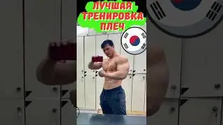 Тренируем ПЛЕЧИ