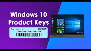 How to fine product key for windows 10/11 without software