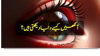 How Human Eye Sees Things | Insani Aankh Kaise Dekhti Hai?
