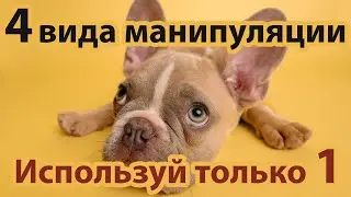 Самая лучшая и безвредная манипуляция в мире!