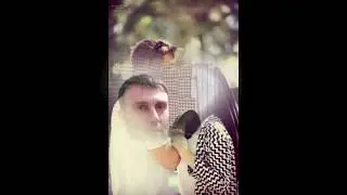 Tariyel Sulxayev-Prinses yeni versiya 2020 Тариел Сулхаев новая версия принцес 2020 года!