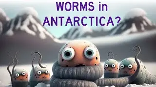 Worms in Antarctica?