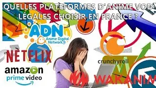 Quelles plateformes d'anime VOD légales choisir en France ( Wakanim ADN Crunchyroll Netflix ...) ?