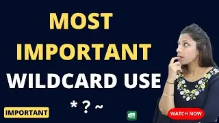 Stop Using Excel IF You Don't Know This !! | Wildcard Characters in Excel | Datachampp Hindi