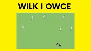 WILK I OWCE - zabawa ruchowa na małej sali