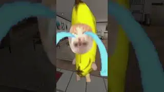 Banana Cat And SCP Part 2 