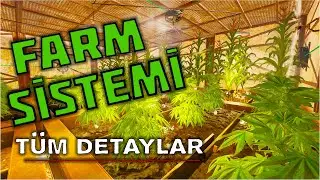 Farm System and Gene Crossing 2024 - Turkish Rust
