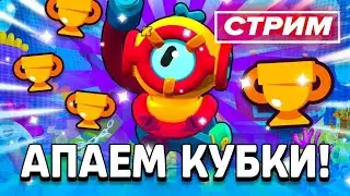 Стрим Brawl Stars I Апаем Кубки Забегай