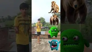 Furry head to Mankey Dog cat elephant snake - vfx magic video #shorts #shortsfeed