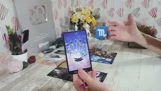 ♏️❤️Escorpião//A sua outra metade da laranja meio torta... Mas é sua metade.
