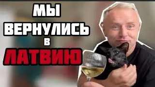 ВСЕ УЕЗЖАЮТ ИЗ ЛАТВИИ 🇱🇻, А МЫ ВЕРНУЛИСЬ 🇱🇻