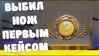 Выбил нож с первого кейса | CS GO Prisma 2 Knife