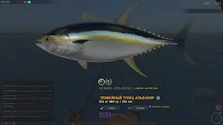 Fisher Online: Мадейра, Тунец альбакор, мировой рекорд.