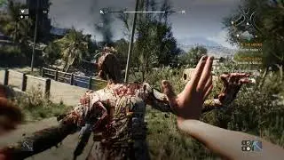 Dying Light running smoothly in Linux