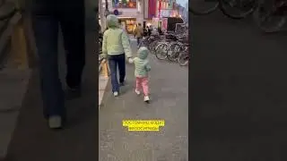 Минусы жизни в Японии