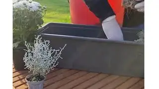 Herbstbeflanzung