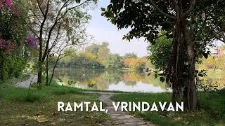 Beautiful Ramtal, Vrindavan