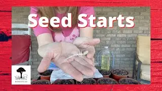Plant Starts 2022 Part 2 | Vlog #GrowingFood #SeedFaithHomestead