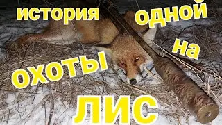 охота на лису с манком BG