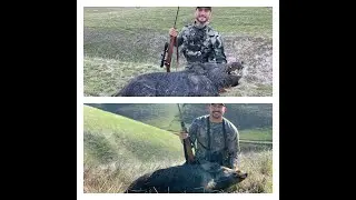 Hog Wild Sunday