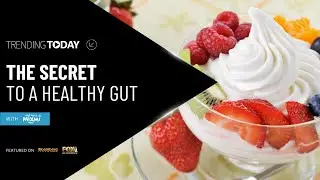 MIXMI FROZEN YOGURT: Learn the Secret to a Healthy Gut, with a Side of Froyo