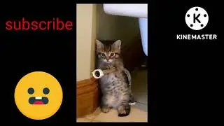 Funny animals 😀😀