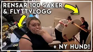 RENSAR UT 100 SAKER, FLYTTVLOGG, SECONDHAND SHOPPING & NY HUND! | VLOGG
