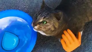 Приют Кошек и Собак Пурумчата #11 Награда Кида и Открытые Локации в Animal Shelter