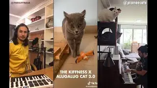 The Kiffness X Alugalug Cat 2.0 (Please Go Away) Piano & Cats Edition