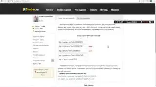 Сайт Snebes.ru  Номинация новичок! Краткий обзор сайта пиара.