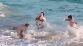 все дельфины в ураган уплывают в океан 🐬