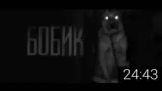 бобик тик ток мем