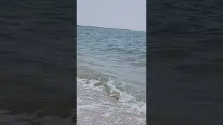 Азовское море 26 июня,вода +32