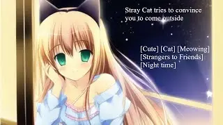 Stray tries to convince you to leave your home [F4A] [Cat OC]