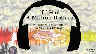 If I Had a Million Dollars // Barenaked Ladies cover by EB (2021) (animated sketch version)