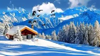 Ayol ...aloqadan qoniqqanini qanday bilish mumkin