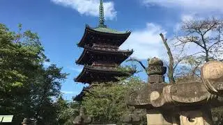 Japan sounds ~ Relaxing Music ~ Japan Traditional Instrumental Flute  Meditation, Yoga, Massage, Spa